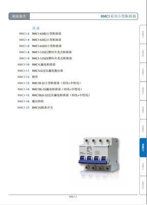 正品【上海上聯(lián)】RMC1-63 D16A/2P系列小型斷路器 優(yōu)質(zhì)供應(yīng)與產(chǎn)品圖片詳解